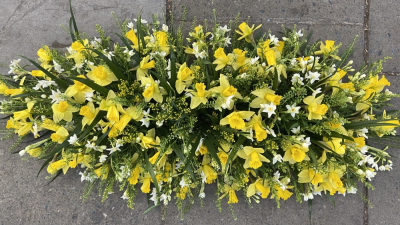 Daffodil casket spray - Daffodil casket spray (seasonal, not available all year round)