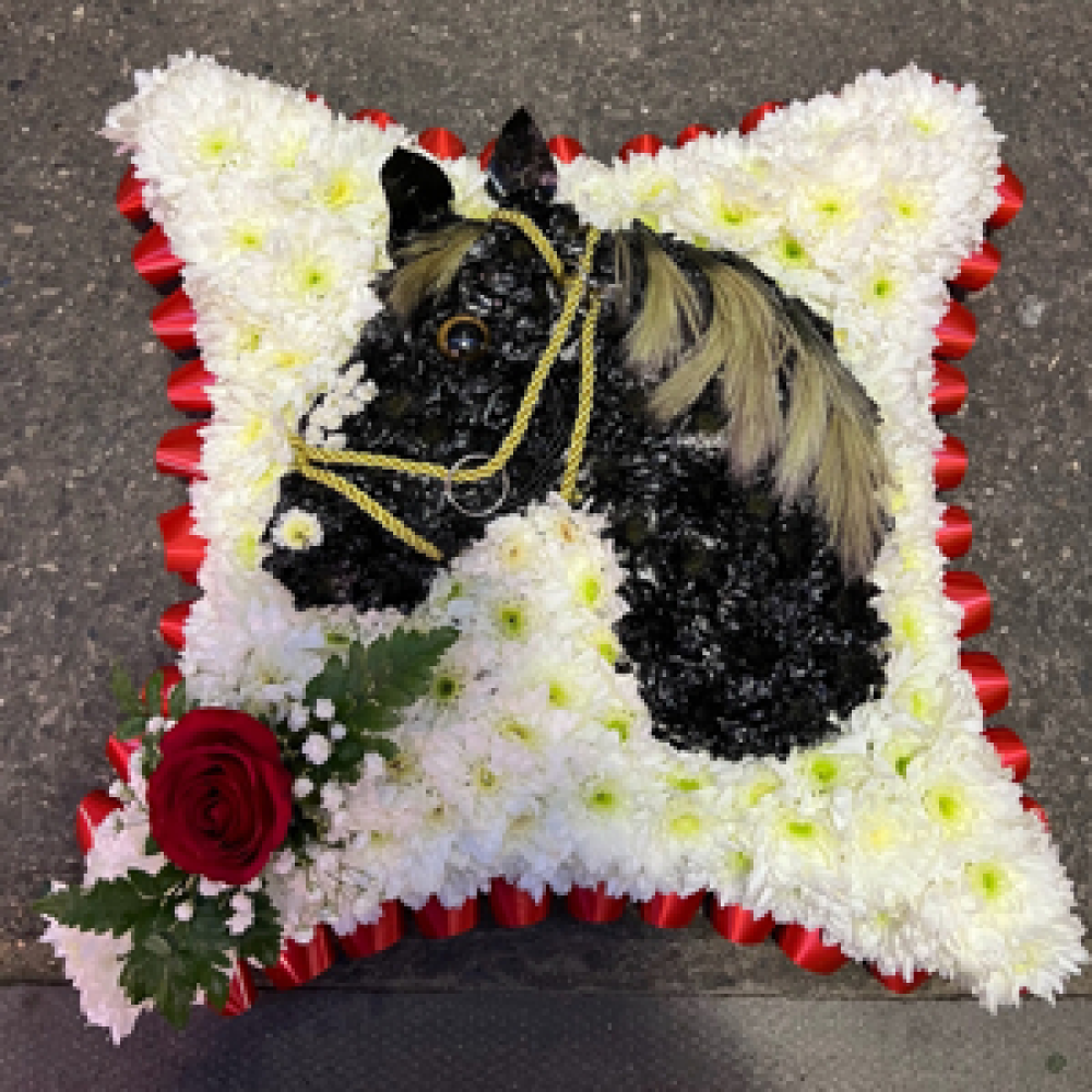 Horses head on cushion Funeral tribute