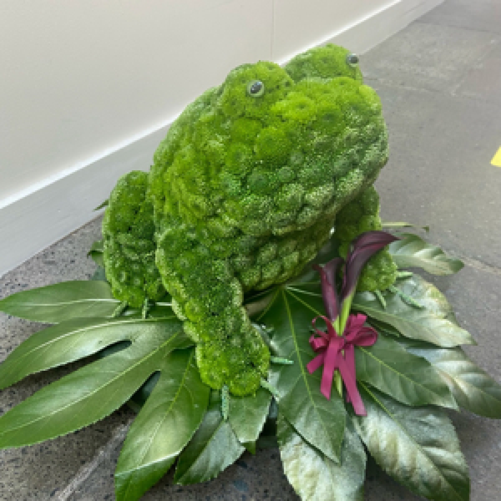 Frog lovers funeral tribute