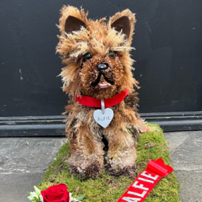 3D dog funeral tribute  - 3D Yorkshire terrier dog funeral tribute 