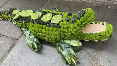 Crocodile funeral tribute - Bespoke funeral designs 